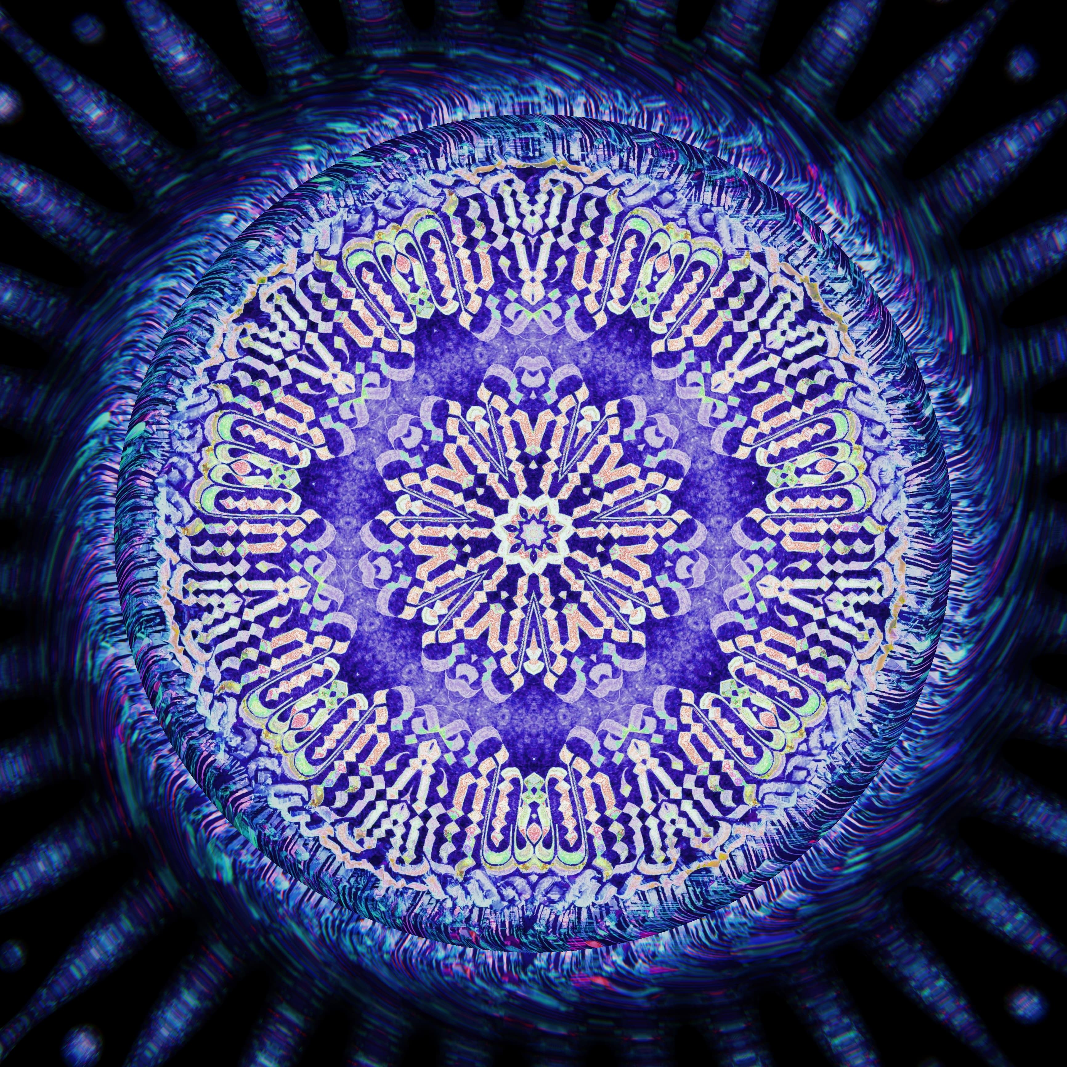 Focus III